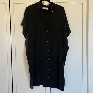 Everlane silk shirt dress